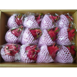 台湾ドラゴンフルーツ6kg(白12個入)
