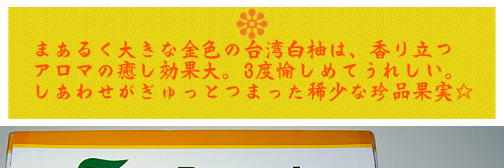 台湾白柚01
