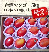 台湾マンゴー5kg(12個〜14個入り)