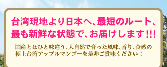 台湾アップルマンゴーの通販PR01