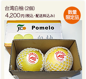 台湾白柚