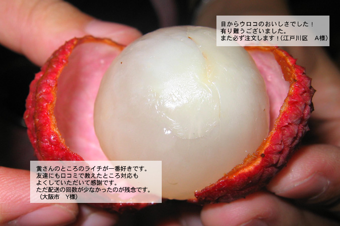 台湾生ライチの口コミ